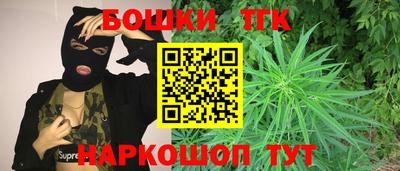 сатива Можга