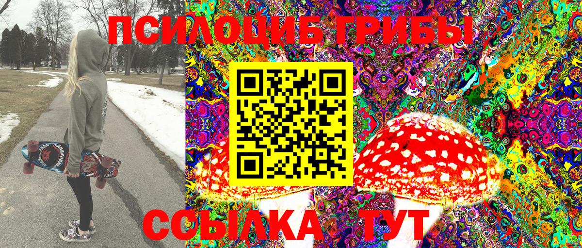 Псилоцибиновые грибы Psilocybe  Галлюциногенные грибы GOLDEN TEACHER  Саянск  Вход с VPN 